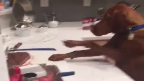 من و آرزوهام