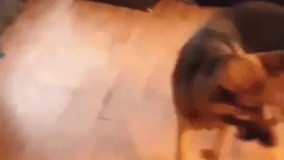 بده من يادت بدم بابا