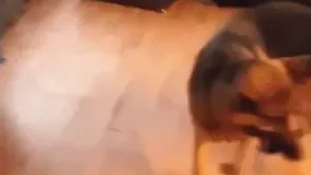 بده من يادت بدم بابا