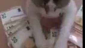 آب از دستش نمی‌چکه به روایت تصویر