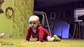 نشین روش توله سگ