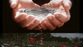 فریب درختان سروده استاد مرتضی کیوان هاشمی کاری از گروه هنری موج نو