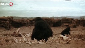 سکانس فیلم ۲۰۰۱ :یک اودیسه فضایی سکانس ابتدایی