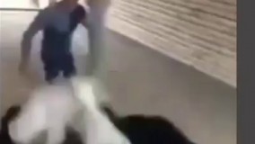 درسته مرغه ولی شترم هست