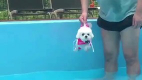 اول کوکش کرد 