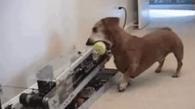 دلخوشیهاتو خودت بساز .