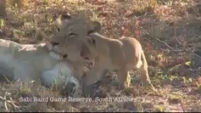 هیچ بغلی، بغل مامان نمیشه! 