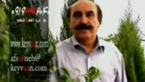 نفرین... سروده: استاد مرتضی کیوان هاشمی اجرا: در برنامه افسانه ی عشق پخش از شبکه جهانی مهاجر