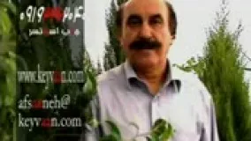 نفرین... سروده: استاد مرتضی کیوان هاشمی اجرا: در برنامه افسانه ی عشق پخش از شبکه جهانی مهاجر