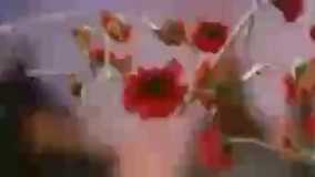 وسپا و گوریل