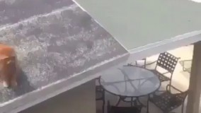 وقتی با ۹.۷۵  میفتی :))  