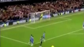 گل زیبای سیسه به چلسی