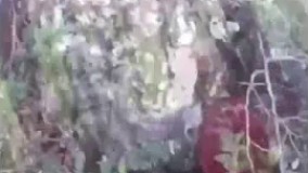 فیلم/ لحظه نجات یک سگ از عمق ۲۴متری زمین 