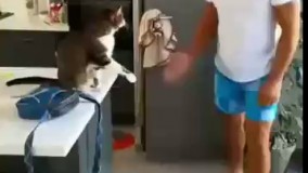 سلام و احوال پرسی