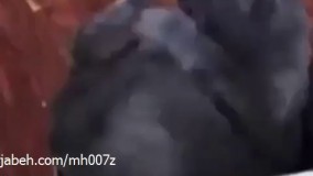 وقتی درگیری و تنها 