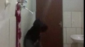 مثلا میخواست گربه رو بندازه بیرون 