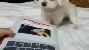 مگه داریم تایپیست از تو سریعتر