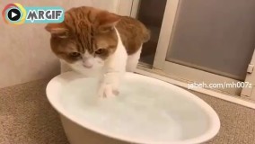 پس ماهیش کو