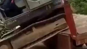 وقتی که فکر میکنی موفق شدی و همه چه روبه راهه