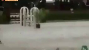 دیگه اون سوارکار سابق نشد 