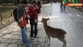 سلام و احوال پرسی دیگر