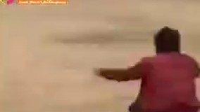 "محل سگ بهش نذاشت" به روایت تصویر 