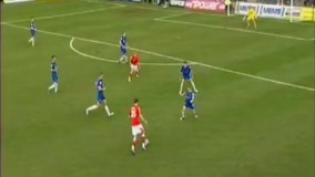 گل زیبای پاول