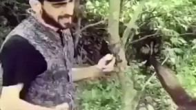 نبینی از کفت رفته صدای عر عرت خخخخخ