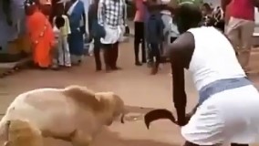 داداش اشتباه زدیا