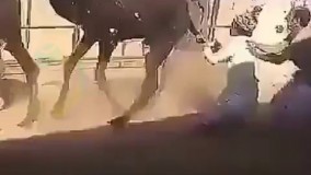 ضربه ش سه امتیاز داشت 