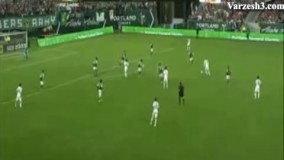 گل زیبای بکهام