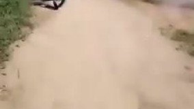 وقتی یهویی با طلبکارت روبرو میشی