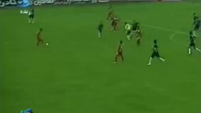 گل زیبای کیانی