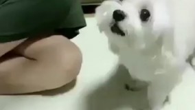 منم هستم، رو منم حساب کنین