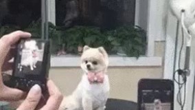 یعنی ژست گرفتنش منو کوبید به دیوار