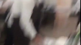 این چه شوخی بود