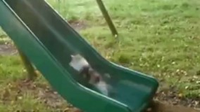 من در مسیر زندگی