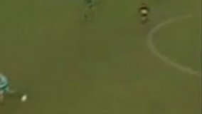 ۲ گل زیبا و دیدنی