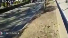 فیلم/ حمله تروریستی در منهتن نيويورک / 8 کشته و 15 زخمی