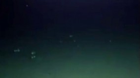 فیلم/ حمله کوسه‌ای شش متری به زیردریایی برنامه مستند