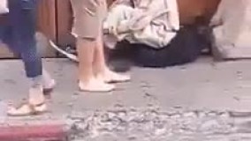 از بقراط پرسیدند انسانیت چیست؟ گفت تواضع در رفعت