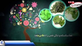 آیا می دانید؟ قسمت ششم   خاصیت نعناع