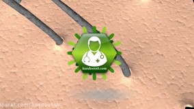 شرح آناتومی لایه های پوست.