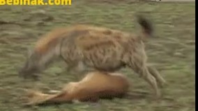 تمرکز نکردن بر روی یک کار و رفتن از کاری به کاردیگر