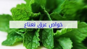 خواص عرق نعناع