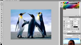 آموزش رایگان فتوشاپ-آشنایی با محیط فتوشاپ وتنظیمات