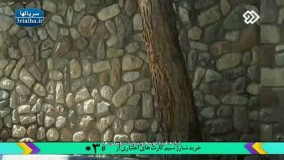 سریال نوار زرد - 9