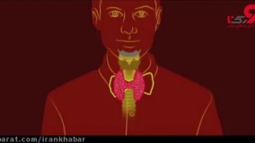 با عملکرد تیروئید در بدن آشنا شوید + فیلم