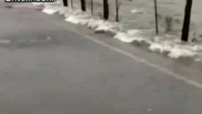  فیلم/ محل عبور ماهی‌ها از خیابان!