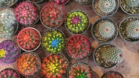 دستگاه کروم پاش فانتارکوم ایلیا 09127692842